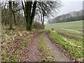 Three Castles Path by Whinkney's Copse in RG25 2NG