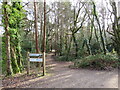 Path into Delph Woods near Broadstone in BH21 3BJ