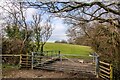 Ashill : Grassy Field & Gate in TA19 9LP