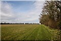 Ashill : Grassy Field in TA19 9NR