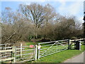 Path into woodland, Alderney, Poole in BH12 3JG