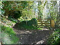 Designated Country footpath, with an optional route through the gate in TR16 4JB