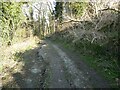 Subsiding farm track in a steep valley in LL13 0HJ