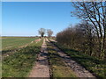 Farm track near Mumby in LN13 9TL
