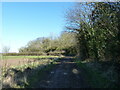 Bridleway to Carlton in Lindrick in Wallingwells