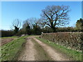 Bend in a bridleway at Gildingwells in S81 8QP
