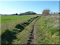 Bridleway to Dinnington in S81 8QP