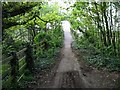 Path through the woods to footbridge over the M20 motorway in TN24 0QY