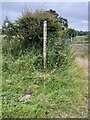 Public Footpath Sign towards Cow How Pond in TF11 8PX