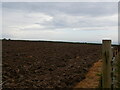 A recently ploughed field in PL13 2JR