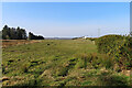 Field near Sweetiehillock in AB43 6PH