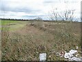 Dry channel of Causey Brook in Burtonwood & Winwick Ward