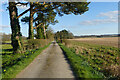 Farm-road and farmland, Itchen Valley in SO24 0HX