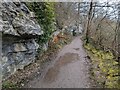 Path near Devil's Gorge in CH7 5PG