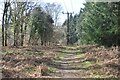 Path under power lines, north of Lodge Inclosure in GL16 7GD