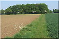 Footpath towards Coney Weston from Barningham in IP31 1DH