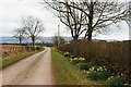 Country road at Inverardoch Mains in FK16 6EA
