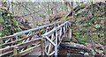 Footbridge over the Cock's Burn in FK9 4PH