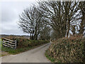 Lane heading north towards Liddaton Down in PL19 0NH