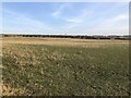 Field near Fair Moor in NE61 3JL