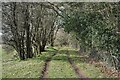 Private track beside Dingle Wood in GL16 8QS