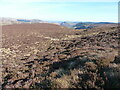 Looking down Llannerch Wen towards Cwm Pennant in SY10 0HQ