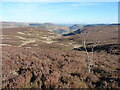 Heading down from Llannerch Wen towards the Nant Achlas valley in SY10 0HQ