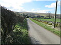 Hedge and wall-lined minor road approaching Nether Row in CA7 8LA