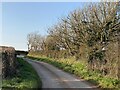 Country lane towards Hasguard Cross in SA62 3SL