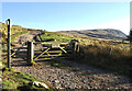 Eroded hill Road heading south from Roehead in Barton and Pooley Bridge