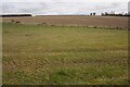 Farmland near Lone Farm in SO21 1XA