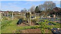 Allotments at Colden Common in SO21 1GB