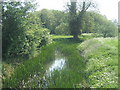 Little Ouse river, looking east (upstream) in IP22 2WB
