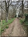 Footpath to Bocketts Farm in KT22 9DY
