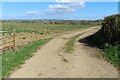 Field entrance and track in CV37 8QT