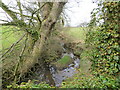 Speet Gill flowing between farmed fields in CA7 8AJ