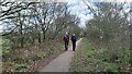 Walking the Dearne Valley Railway in S63 0RW