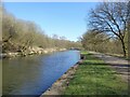 Sankey Canal in water in WA12 8QS