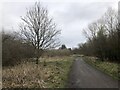 Path, Merklands Local Nature Reserve in G66 3NX