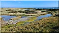 Spring colours on Farlington Marshes in PO3 5LY