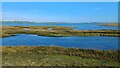 Marshy islands to the east of Langstone Marsh in Bedhampton Ward