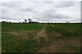 Bridleway near Stobb House Farm in DL5 6GU