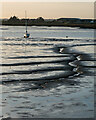 Low tide at Lawling Creek, Maylandsea in CM3 6WP