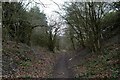 Bridleway in Brusselton Wood in DL4 1QD