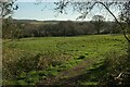 Field near Holcombe in BA3 5DZ