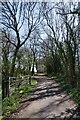 Byway Through Perry Wood in RH1 5EQ