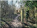 Footpath crossing an old railway embankment in DE7 4EN
