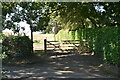 Bridleway off Lawbrook Lane in GU5 9PD