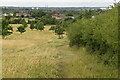 Meadow edge footpath in E4 7RW