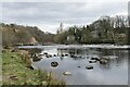 River North Tyne, Barrasford in NE46 4TH